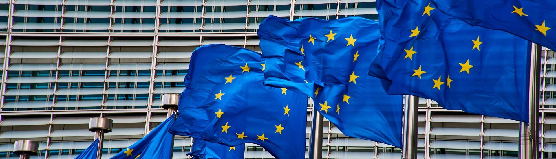 UE drapeau