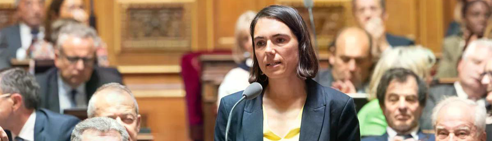 Sénat - sénatrice Christine Lavarde