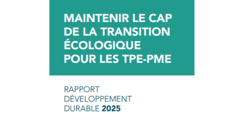 rapport dd 