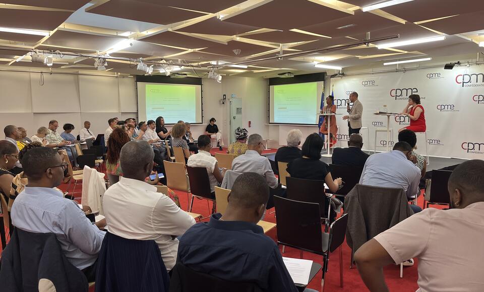 délégation cpme outre mer